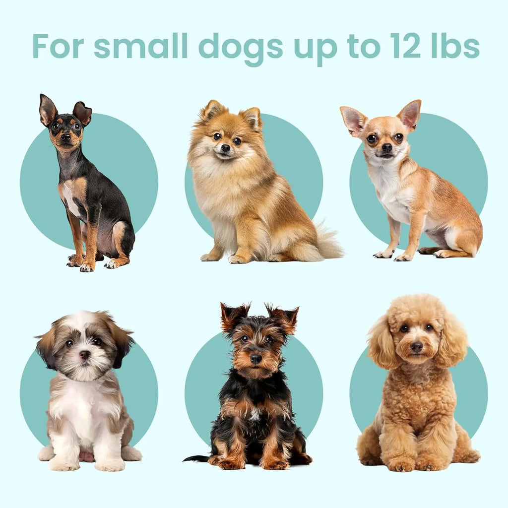 PAWD Collapsible Dog Crate with Washable Bed - Lightweight Portable Kennel for Small Dogs - White