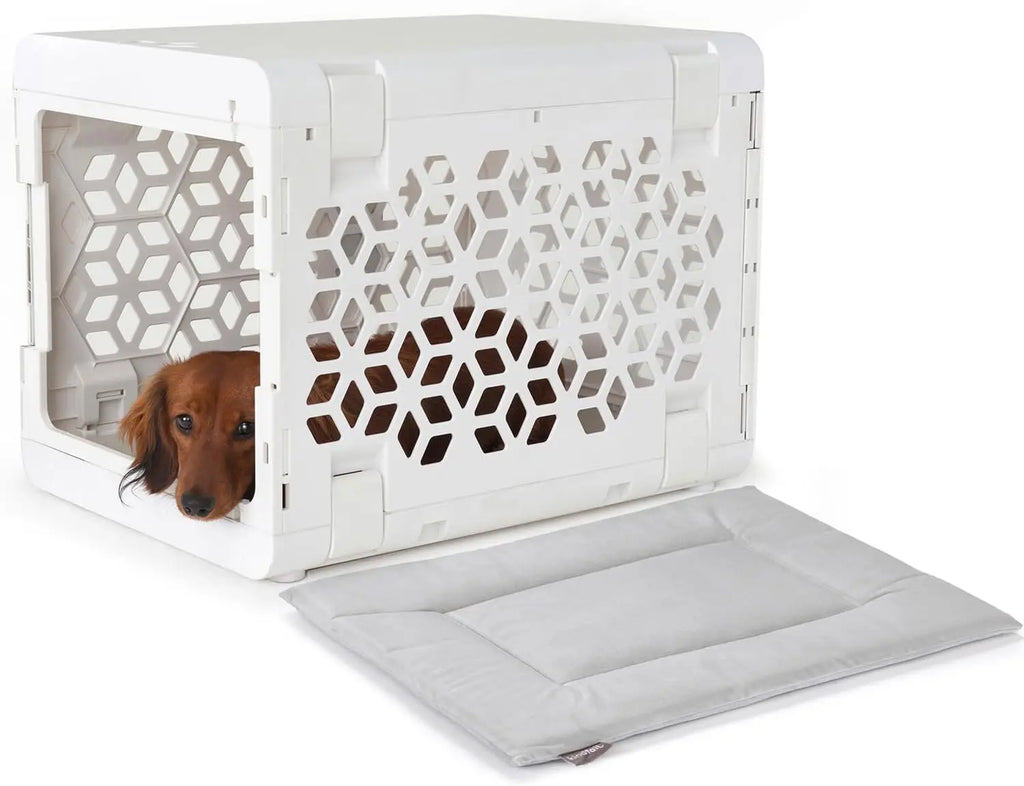 PAWD Collapsible Dog Crate with Washable Bed - Lightweight Portable Kennel for Small Dogs - White