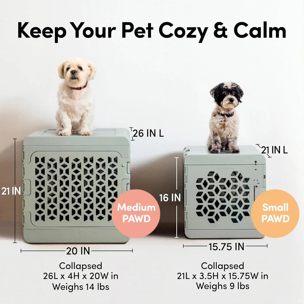 PAWD Collapsible Dog Crate with Washable Bed - Lightweight Portable Kennel for Small Dogs - White