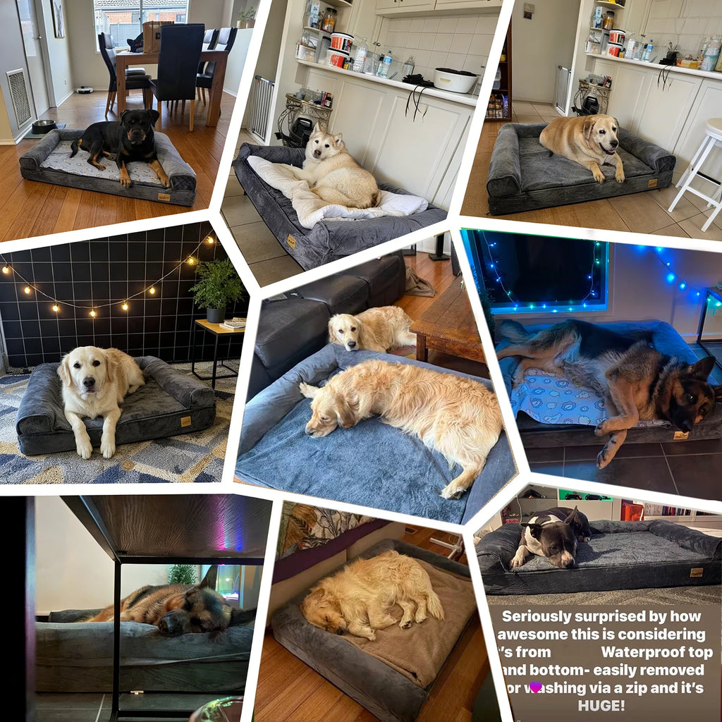 XXXL Large Calming Dog Bed Orthopedic Memory Foam Sofa Couch Waterproof Removable Cover Plush Mat for Small Medium Large Dogs