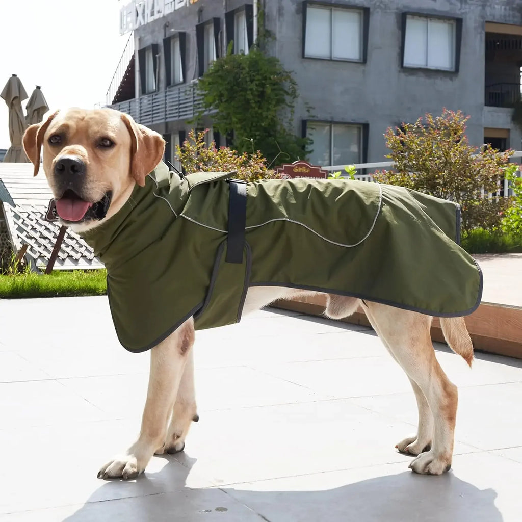 Winter Clothes for Dogs Windproof Vest Adjustable Clothes with Harness Cold Weather Waterproof Outfit for Small Medium Large Dog