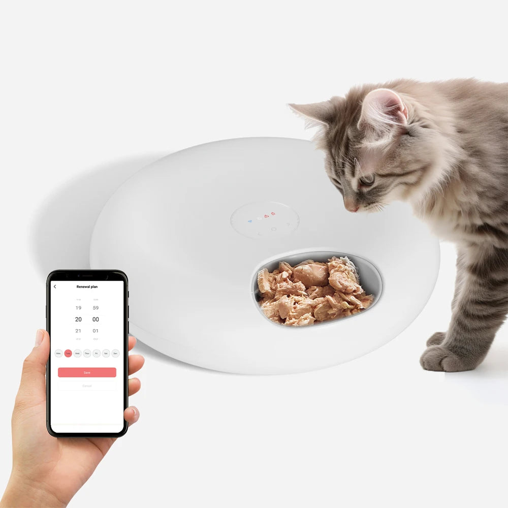 Freshness Dry Wet Food Recharging Automatic Pet Feeder Cat Smart Feeding Dog Food Dispenser WiFi Button Timing Slow Feeding